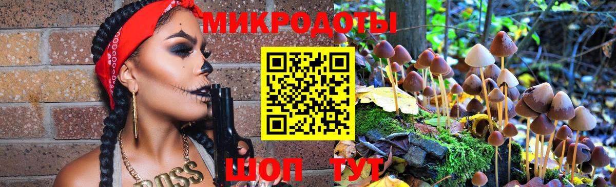 Галлюциногенные грибы Psilocybine cubensis Лобня