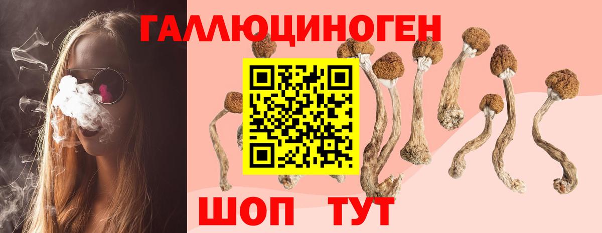Лобня  Галлюциногенные грибы GOLDEN TEACHER  Вход с VPN 